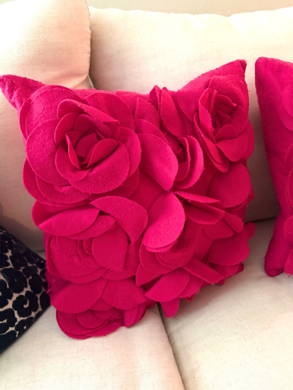 Pair of Fuchsia Pink Throw Pillows